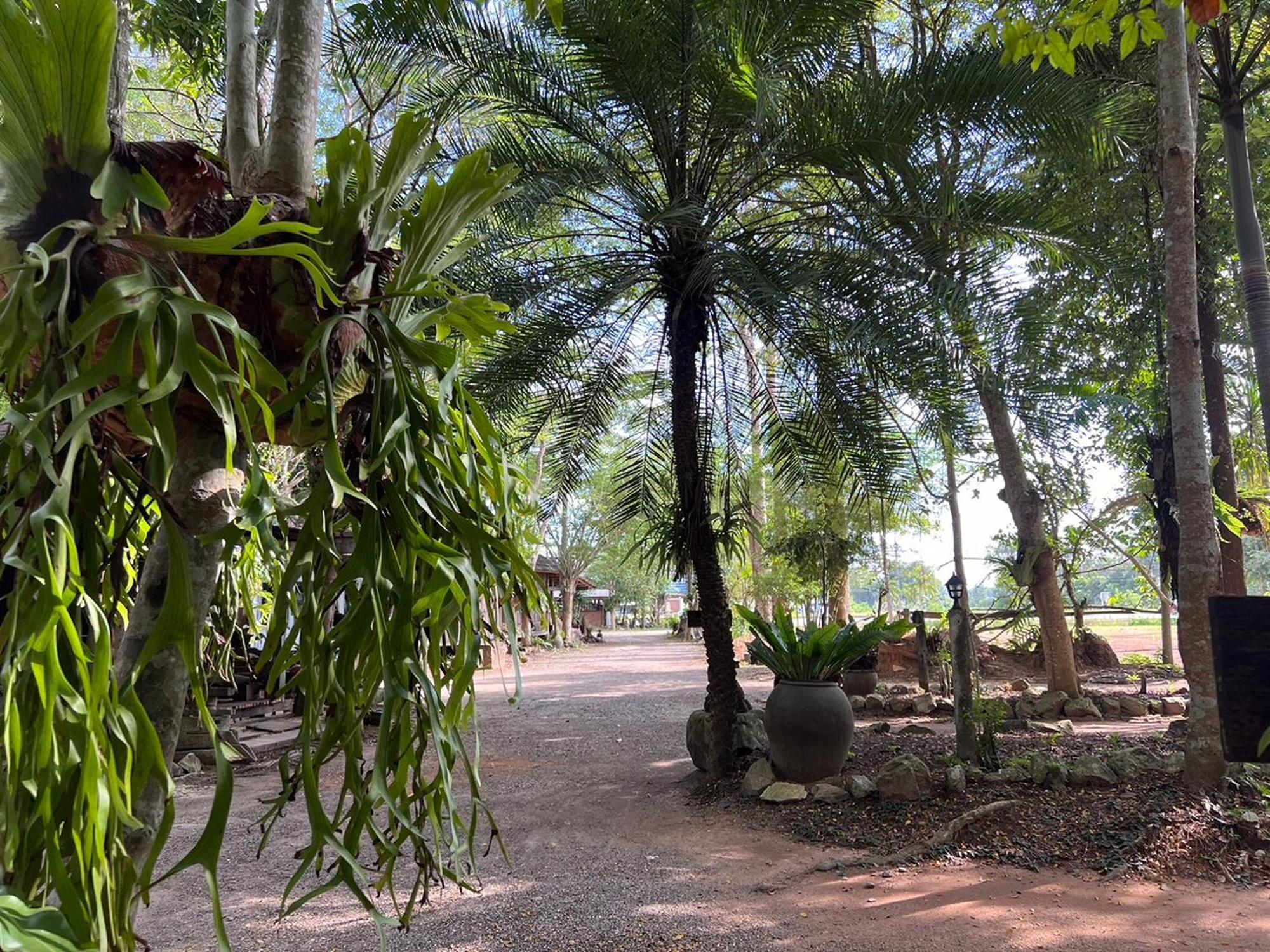 Pang Mai Resort Songkhla Exterior photo