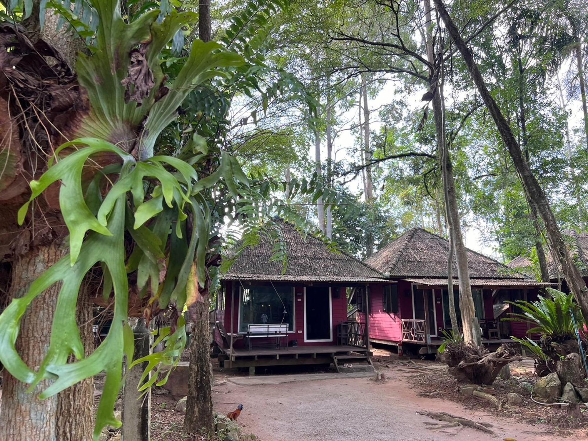 Pang Mai Resort Songkhla Exterior photo