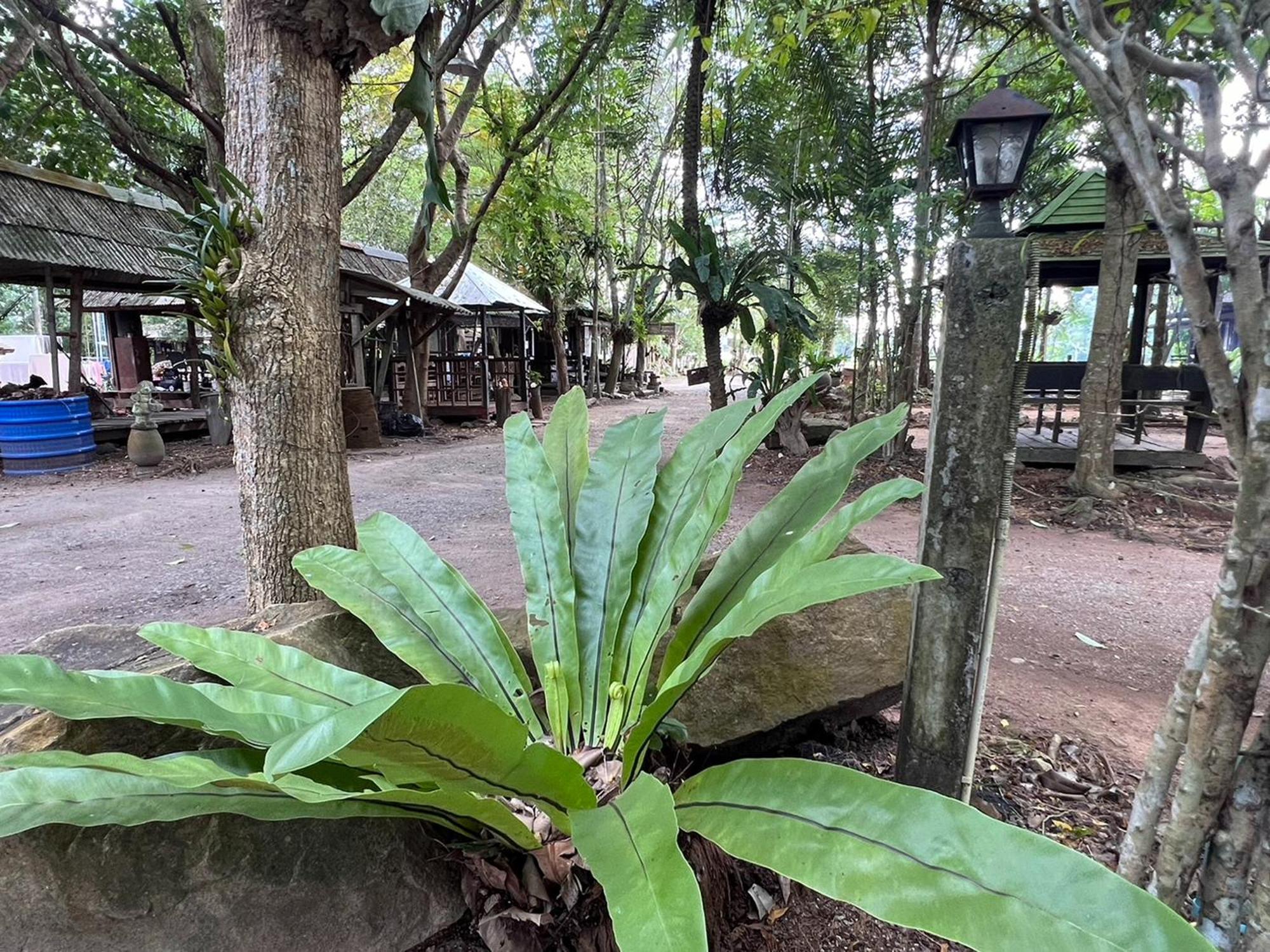 Pang Mai Resort Songkhla Exterior photo
